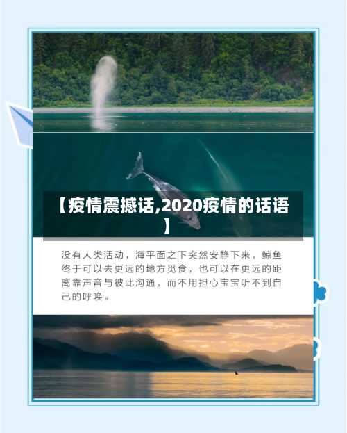 【疫情震撼话,2020疫情的话语】-第1张图片
